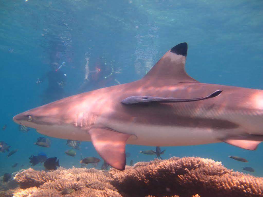 Ombak Dive Resort Pulau Perhentian Kecil Zewnętrze zdjęcie